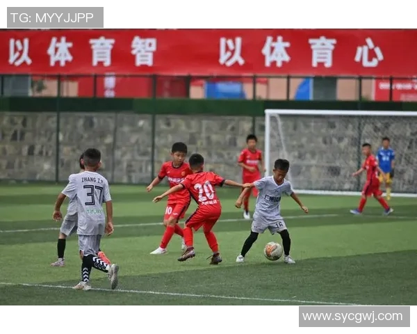 足球的魅力与激情探讨以及如何提升青少年足球水平的建议与思考 足球的魅力与激情探讨以及如何提升青少年足球水平的建议与思考